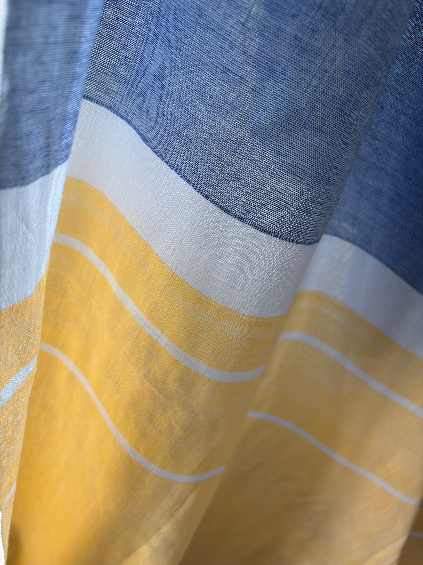 Handloom Cotton Saree | Blueberry Lemon Summer Saree | Blue & Yellow