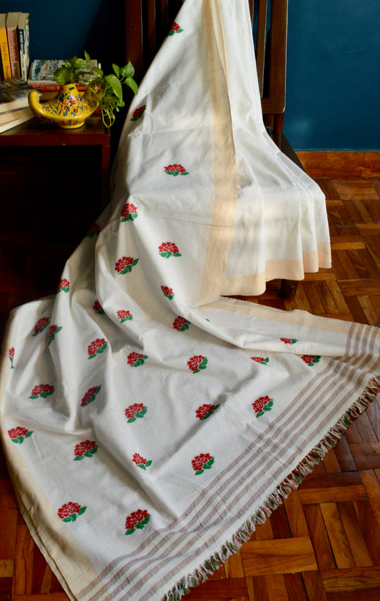Red and white handloom cotton saree
