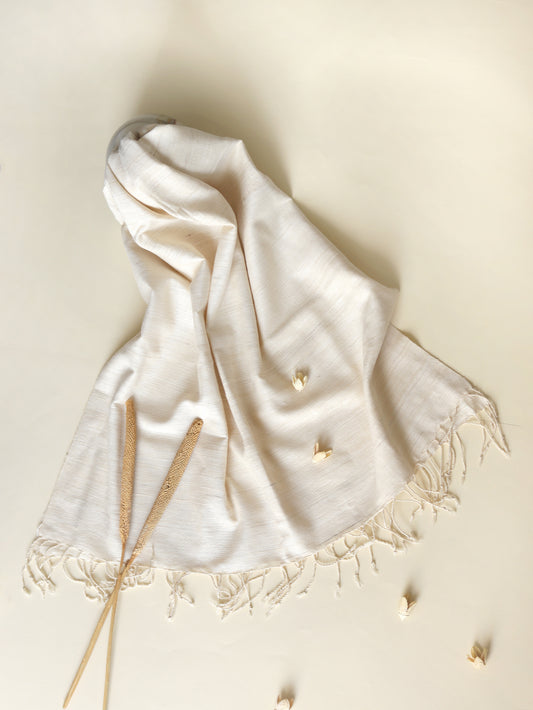 Ahimsa Silk Scarf in ivory